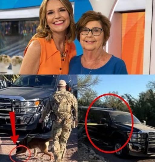 A sniffer dog has just detected a strange smell coming from the bathroom at Savannah Guthries mothers house!