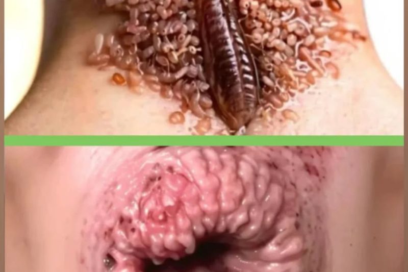 66 Bizarrely Funny Pictures That “Go Hard” …..check here to see…  